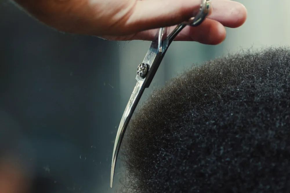 A hand holding curved steel shears upright beside the dry, tightly coiled hair of a head seen from the side, in a blurred room.